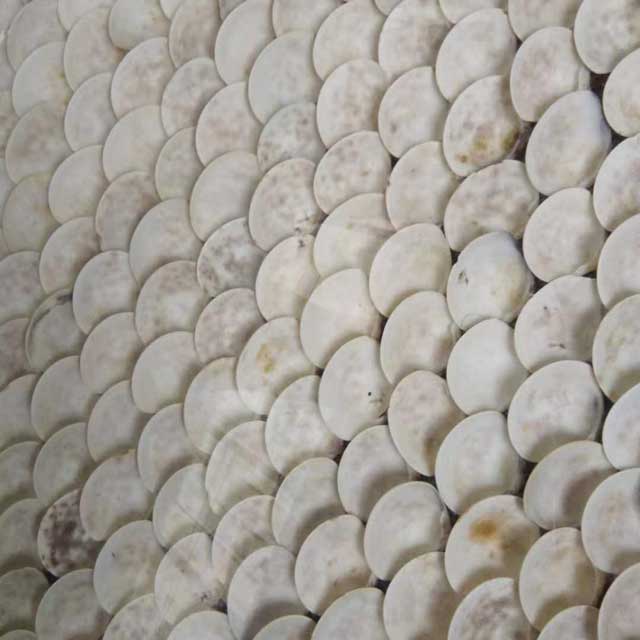 Seedling-and-Cultivation6402