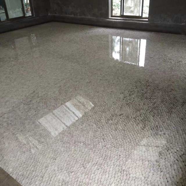 Seedling-and-Cultivation6403