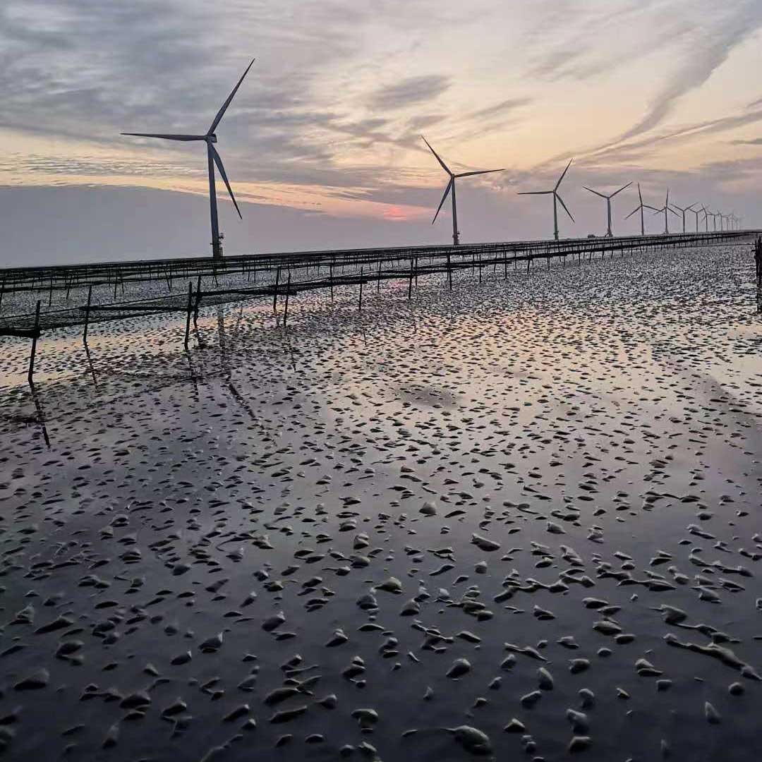 Seedling-and-Cultivation9